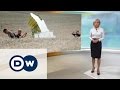 Крушение MH17: к каким выводам пришли следователи - DW Новости (28.09.2016)