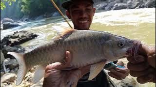 EXPLORE SUNGAI CIMANUK SUMEDANG YANG DI HUNI IKAN MASHER