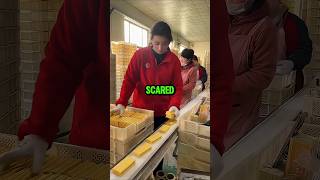 This Girls Speed Surprised Everyone