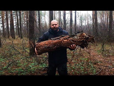 Видео: Закрепление приемов самообороны от нападения диких животных