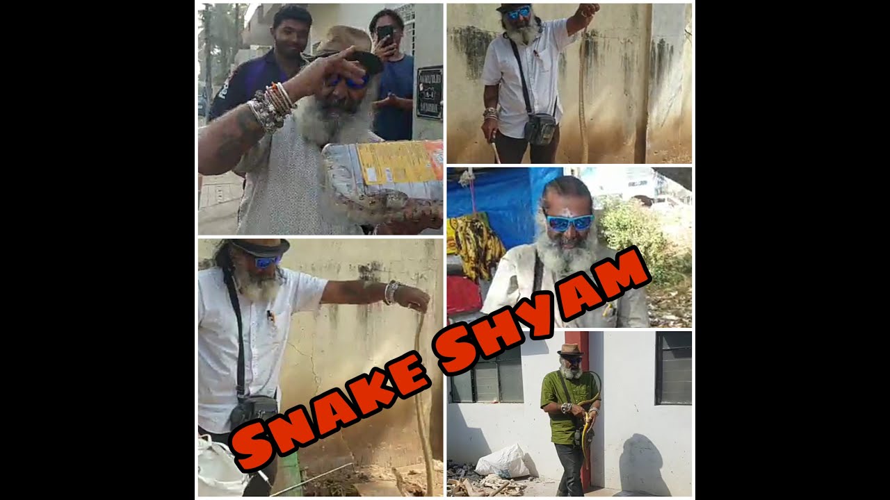 Snake ಶ್ಯಾಮ್, Snake Shyam Mysore The Daring Snake Rescuer / Snake