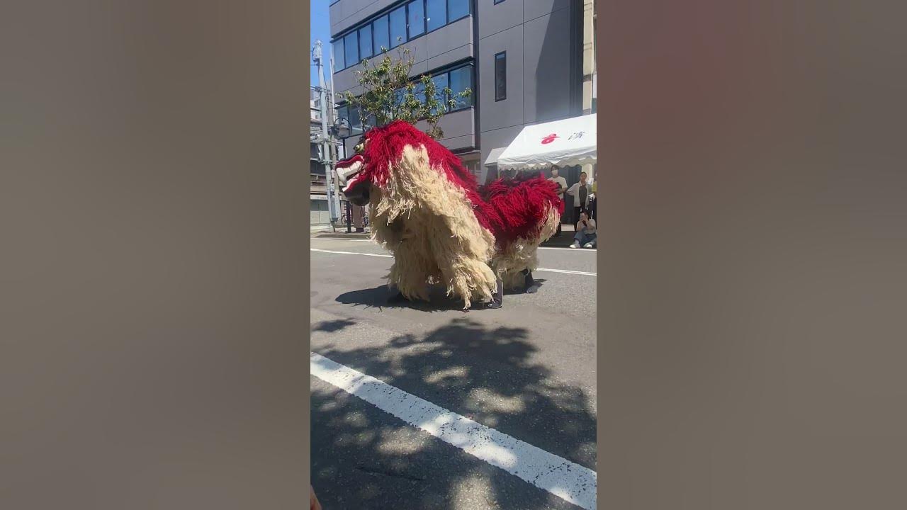 Dragon dancer