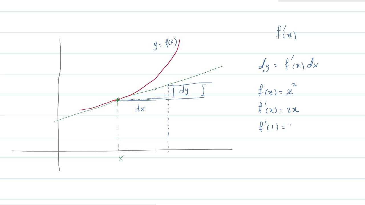 الفرق بين التفاضل والاشتقاق