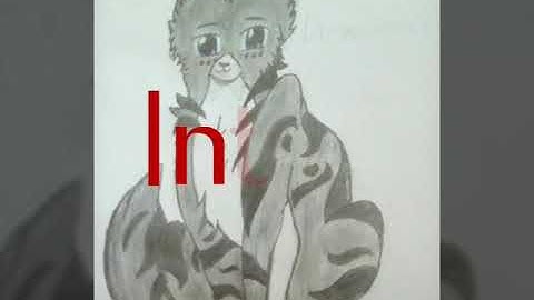 Darkstripe M.A.P:What I