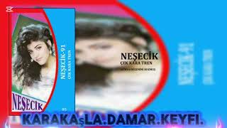 Neşecik - Dünya Düzenini Bozmuş - 