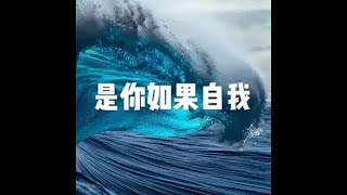 201501 是你如果自我21307