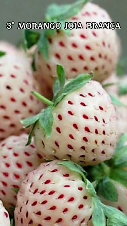 3 FRUTAS RARAS QUE VOCÊ NUNCA VIU ANTES #shorts #fatos #frutas #alimentos