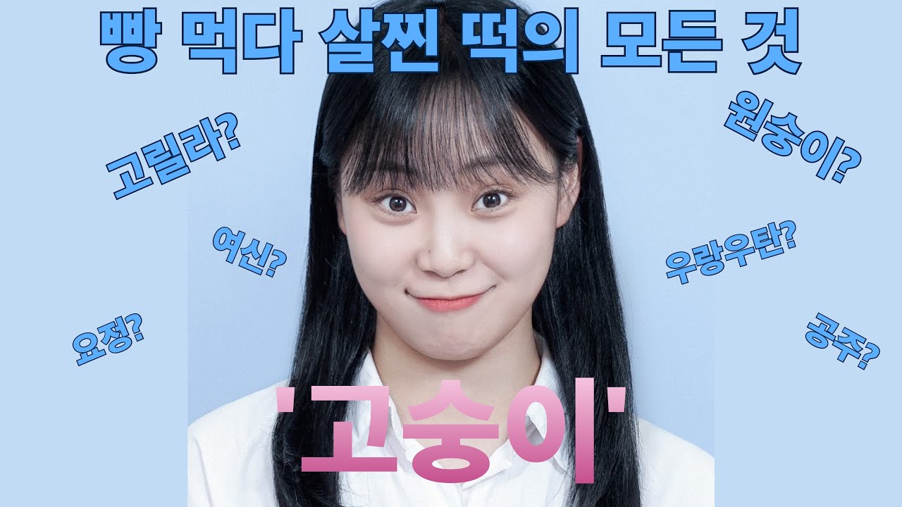 원숭이 아닙니다. 빵 먹다 살찐 떡의 모든 것 - YouTube