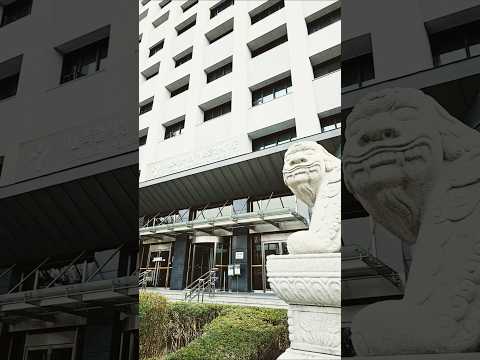 서울시 캔바 활용 홍보디자인 -  전통시장 전문인력 역량강화 교육 #AI리터러시교육