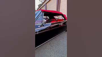 1965 Chevy Impala Lowrider Convertible 1965 Chevy Impala Lowrider Shorts 