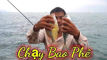VUONG LT VLOG | hành trình câu cá biển phú quốc #phần cuối | kết thức một chiến đi nhiều ý nghĩa