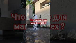 Что нужно для мамы четырёх детей? вода для успокоения нервов👍❤️