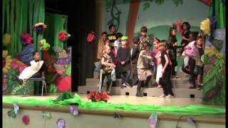 Amelia Earhart 2nd Grade Bugs Performance on May 16, 2013