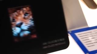 A 3.2 Amoled Prototype By Tianma