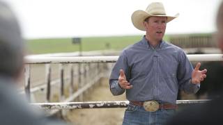 RRC Ag Days: How to select a bull for your herd
