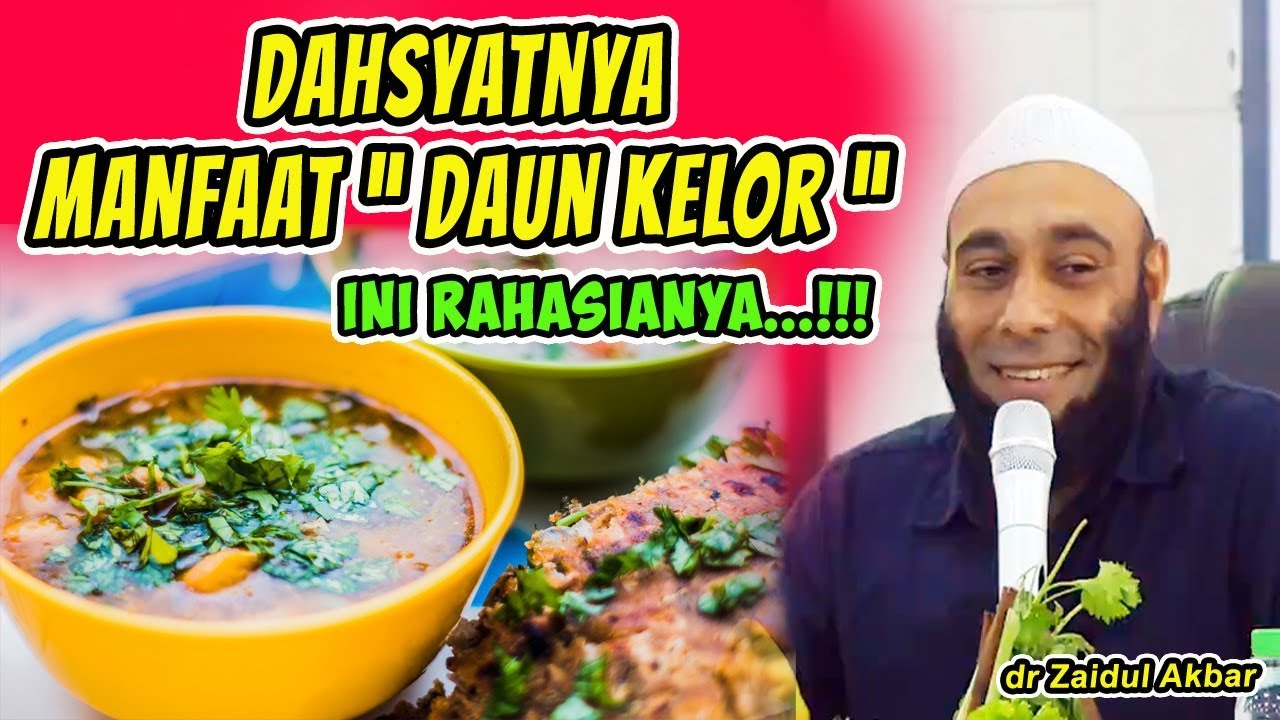 DAHSYATNYA MANFAAT DAUN KELOR | dr Zaidul Akbar 