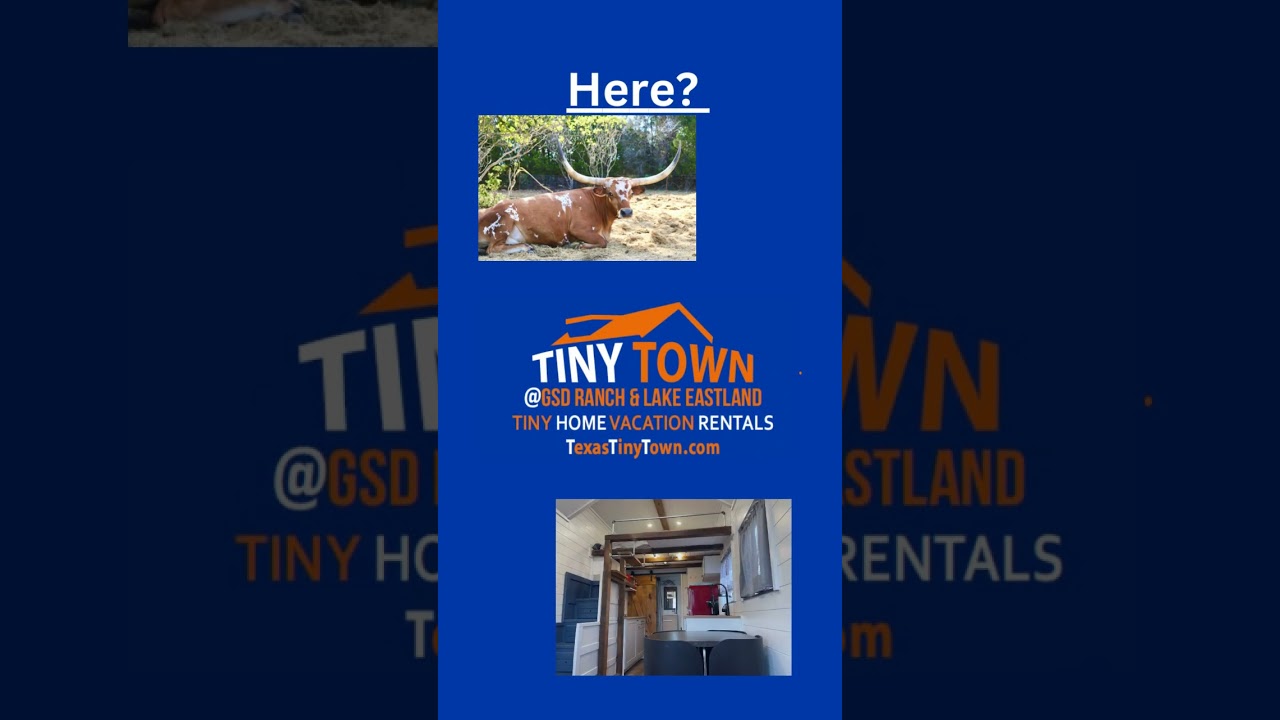 Vacation Homes to rent to see APRIL 8 2024 Eclipse by Vacation Your Way