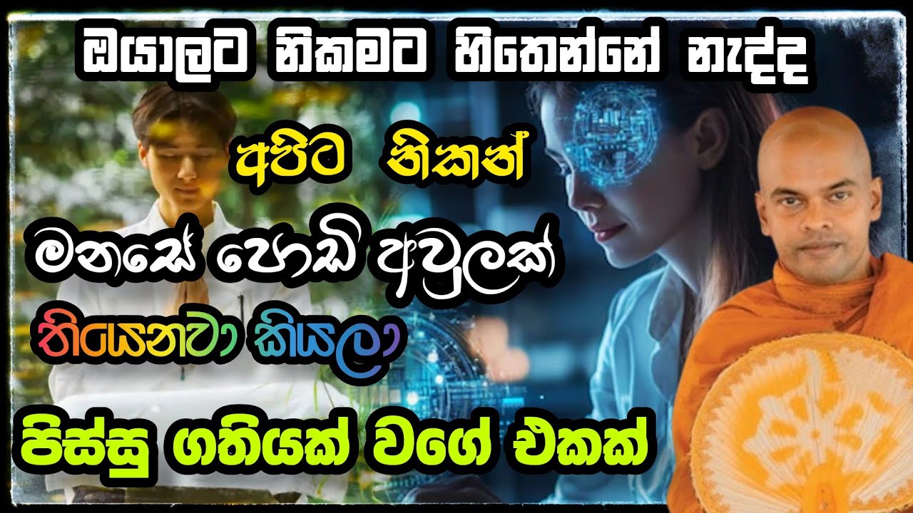 ප්‍රඥාවෙන් සිදුකල යුතු පිංකම්.Kiriwaththuduwe Ariyadassana බණ Bana .කිරිවත්තුඩුවේ අරියදස්සන හිමි