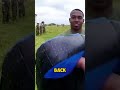U.S Military : What Does It Feel Like to Train After Being Sprayed with OC ?