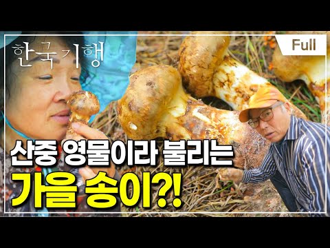 [Full] 한국기행 - 시골 부자 제2부 송이 부부의 <strong>두둑한</strong> 가을