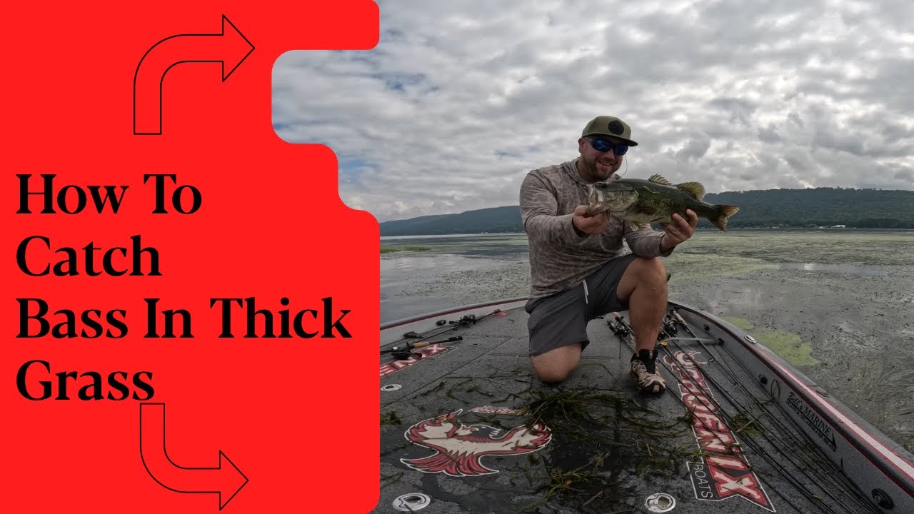 Crushing Bass in THICK Grass on Lake Guntersville!
