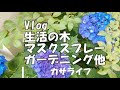 【Vlog】マスクスプレーマスク梅雨の庭その他