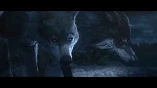 🐺I am the Wolf🐺 /REMAKE/ (Wolves Tribute) ♪Wolf♪ - Yeah Yeah Yeahs