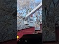 ⚡ No shortcuts. Just real tree work. 🌳 #treeremoval #treeservice #treehealth #trees #trend #viral
