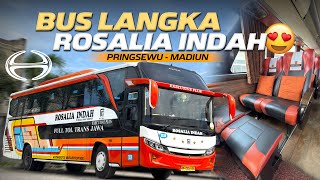 FINALLY TAKING THIS BUS FROM PRINGSEWU ‼️Trip Pringsewu - Madiun with Rosalia Indah