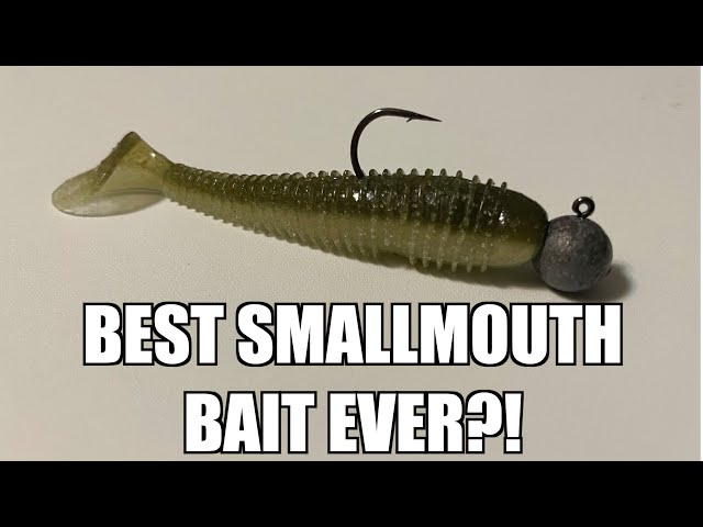 This Finesse Swimbait is the BEST Smallmouth Bass Fishing Lure!! 