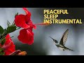 SOFT INSTRUMENTAL FOR SLEEP || A MELODY