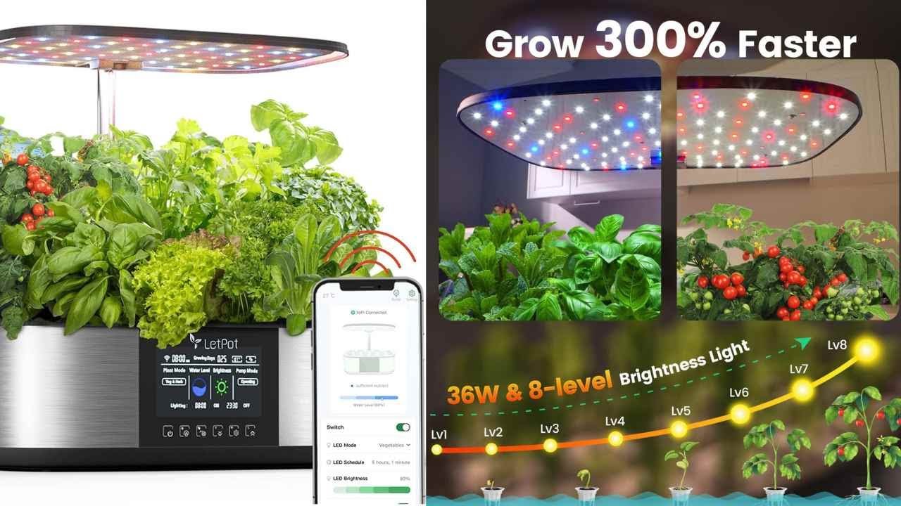 Обзор гидропонной системы выращивания LetPot MAX