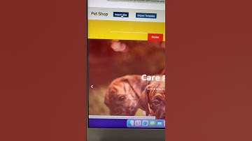 How To Create A Pet Shop #WordPress Website In Just 3 Steps #shorts