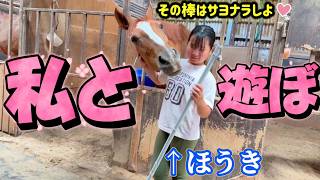 厩舎を掃除中の女の子にあの手この手を使ってナデナデを要求する甘えん坊の牝馬が可愛すぎました…。【ツルマルボーイ様のシモベ】
