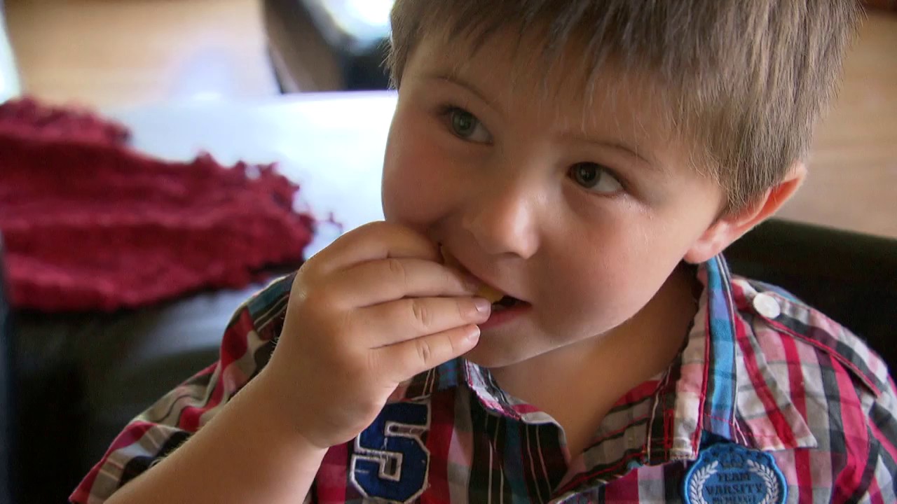 Leucinose, la maladie du sirop d’érable