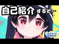 【新人Vtuber紹介】星空ナツの自己紹介