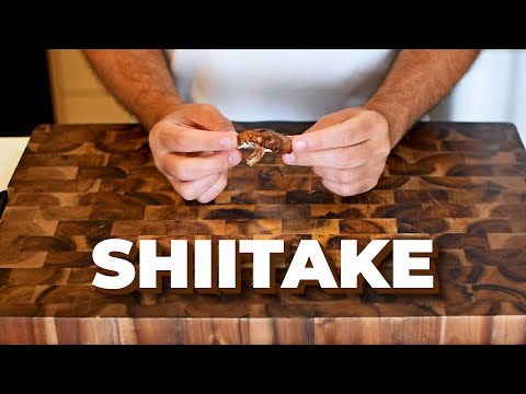 Shitake Recepty