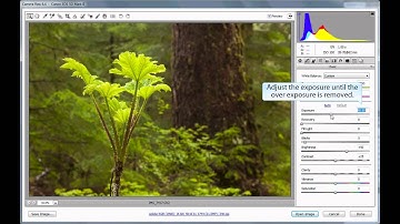 Basic RAW Processing