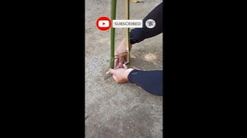 Homemade mouse trap | the most effective simple homemade rat trap #89