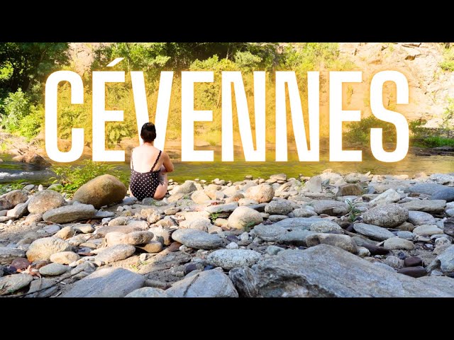 Toutes les vidéos