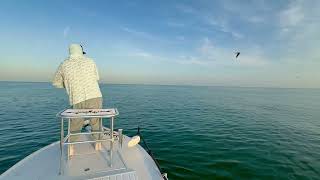 Nearshore fishing - Clearwater Beach FL - Tightlines Charter!