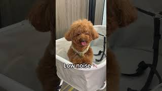 Low Noise, Big Comfort, And Total Relaxation.