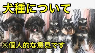 犬種について（※個人的な意見です）