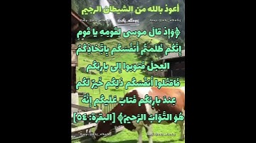 حفظ سورة البقرة آية 54