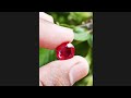 July Month's Birth Stone | Ruby | Gems