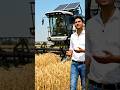 Solar panel Machine Gehun Cuttings,  #trending #shorts #farming #solar #viral #ytshorts