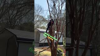 #workhardanywhere #paysoff #payday #workoutmotivation