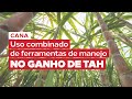 #CANA: Benefícios do uso combinado de ferramentas para o ganho de TAH