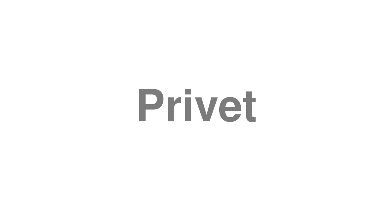 How to Pronounce "Privet"