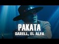 Darell El Alfa PAKATA Letra Lyrics mp3